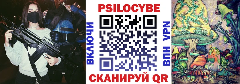 Псилоцибиновые грибы мицелий  Купить закладки  Тосно 